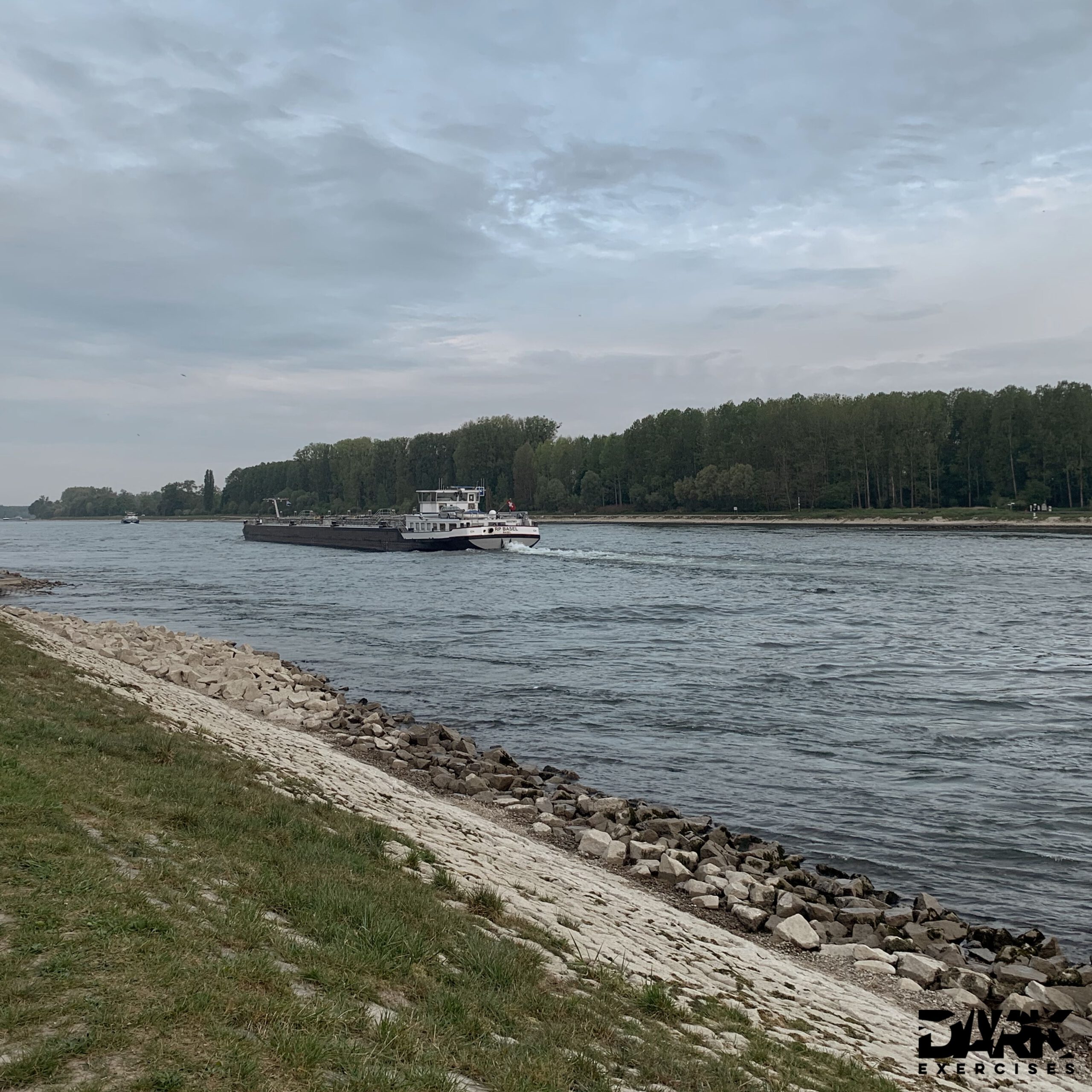 Water - the river Rhine
