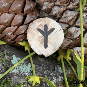 Magic of the Rauhnächte - Yin Yoga & Runes - Algiz
