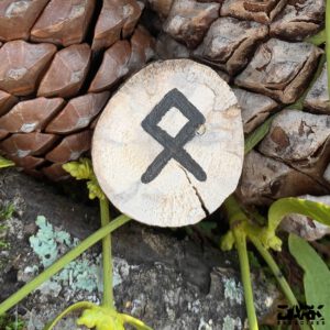 Magic of the Rauhnächte - Yin Yoga & Runes - Ottawa
